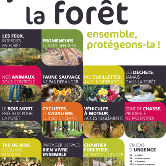 J'aime la forêt
