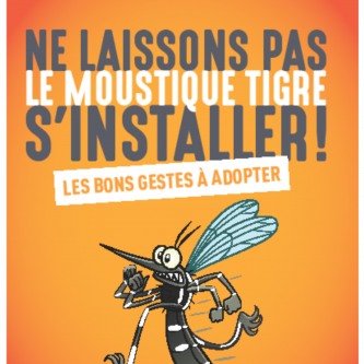 Moustique tigre les bons gestes