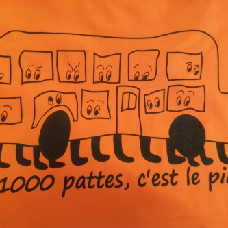 1000 pattes