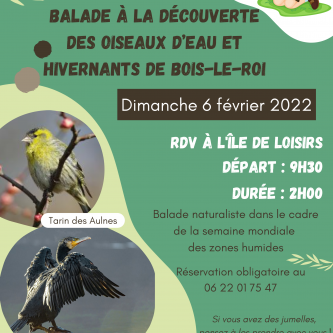 Balade oiseaux