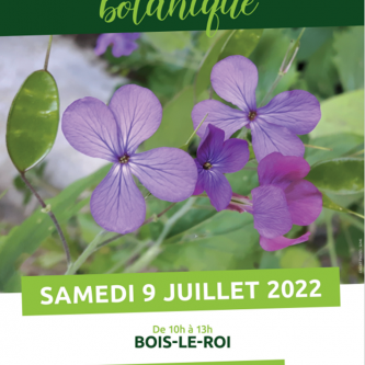 Affiche botanique