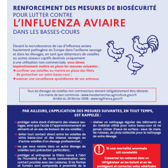 Influenza aviaire