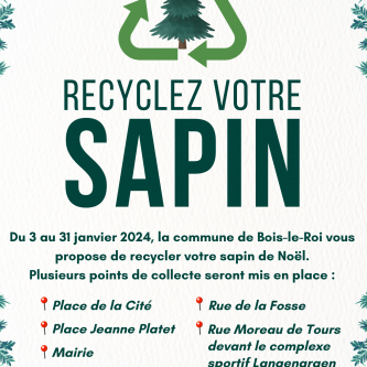 Recyclage sapins