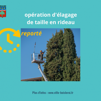 Taille en rideau