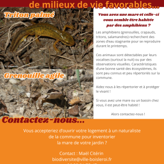 Avis de recherche : les amphibiens