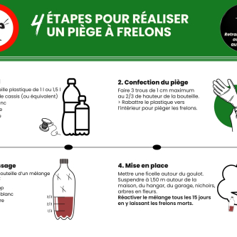 Frelons