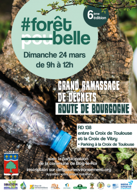 2024 03 24 Forêt Belle