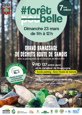 Forêt Belle 2025