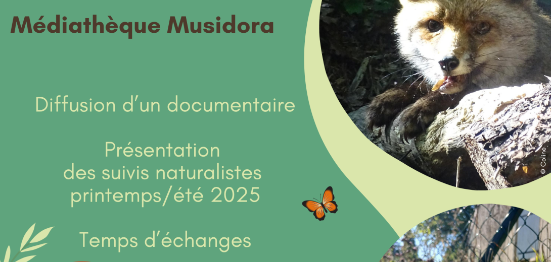 20251105-conférence nature en ville - biodiversité