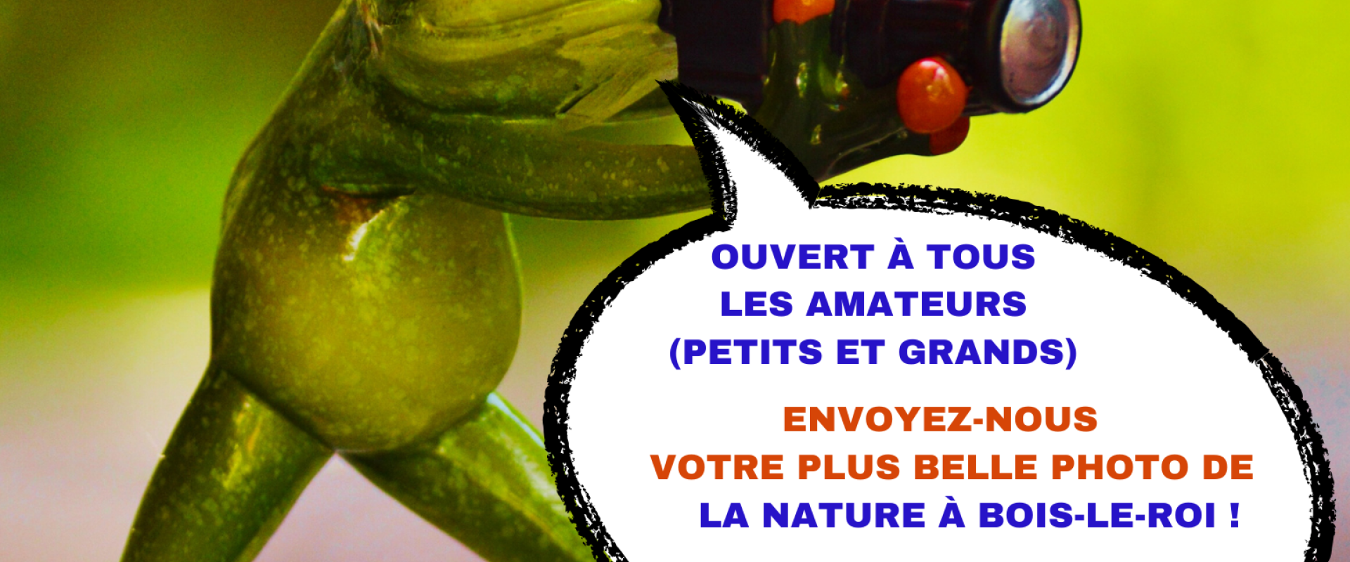 Concours photo