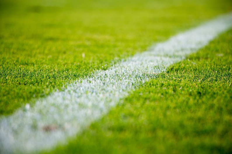 Pelouse de stade Vignette