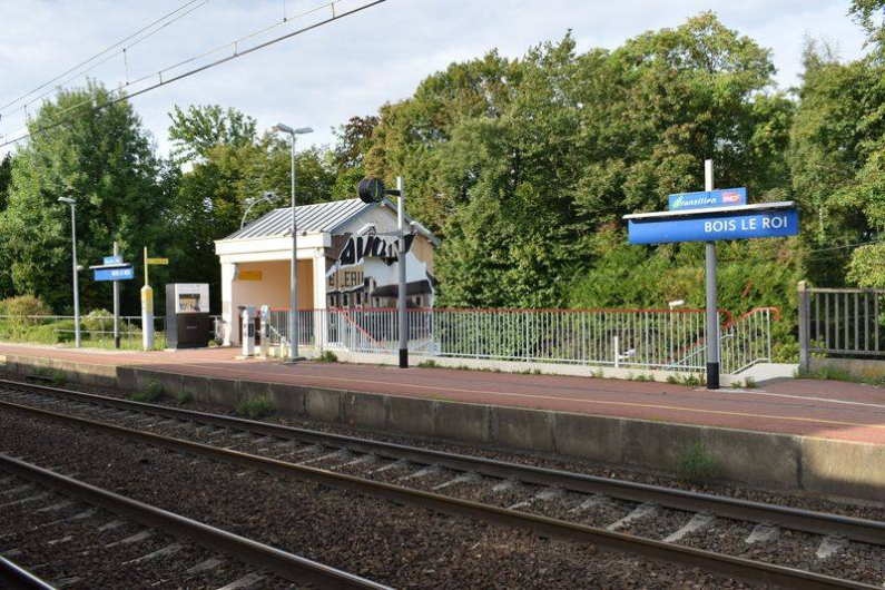 Gare de Bois-le-Roi Vignette