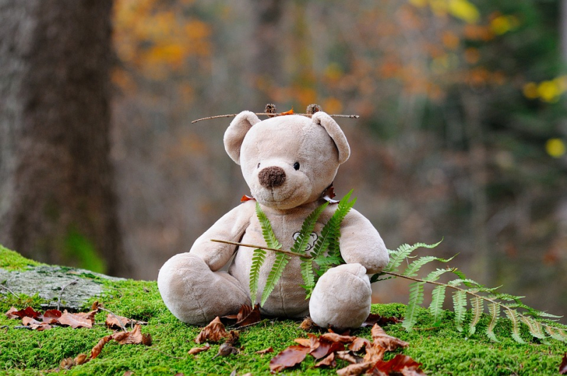 Ours en peluche Vignette