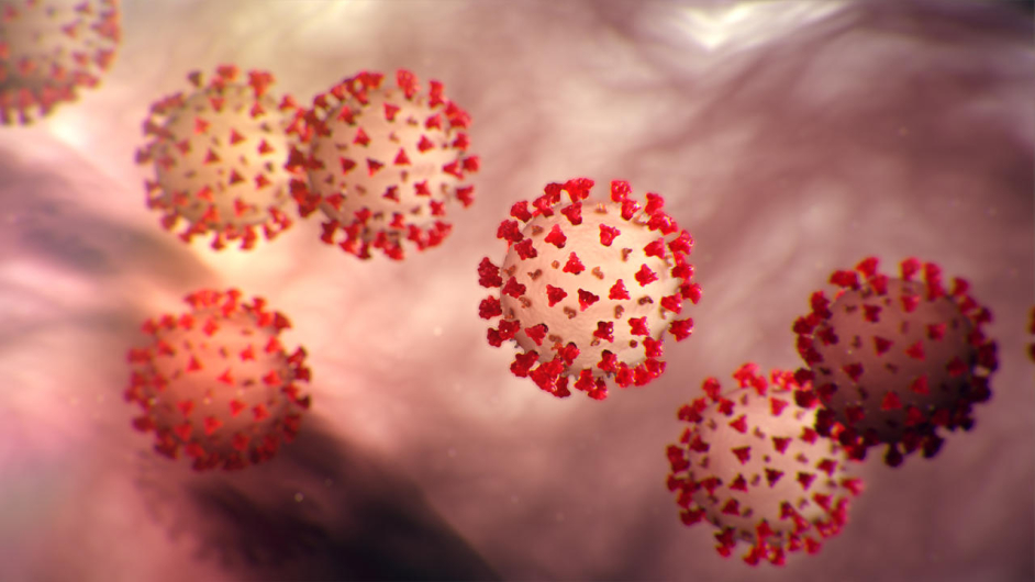 Coronavirus Vignette