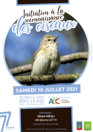 Initiation à la reconnaissance des oiseaux