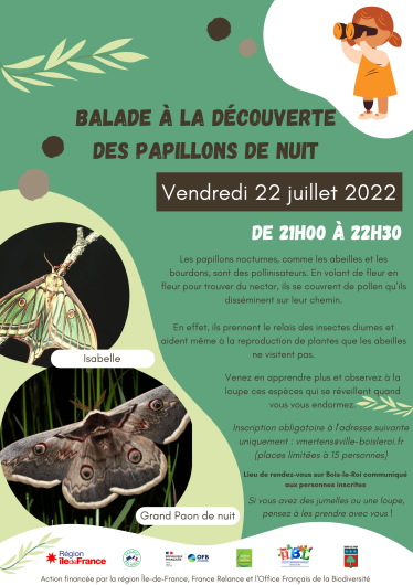 Balade à la découverte des papillons de nuit