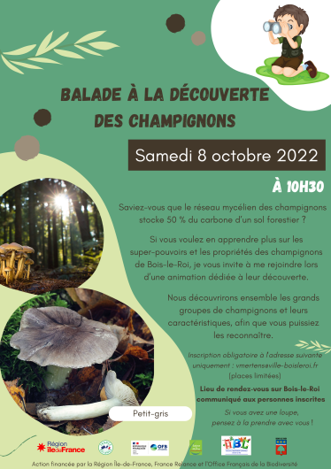 Balade à la découverte des champignons