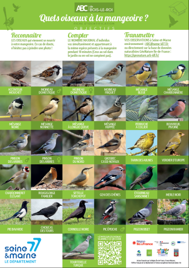 Images des oiseaux visible à Bois-le-Roi
