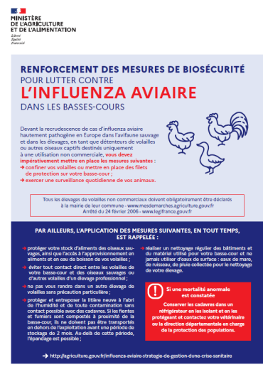 Influenza aviaire