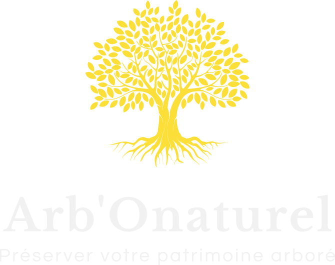 Entretien des arbres