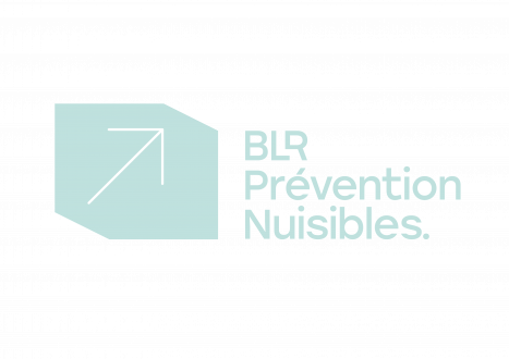 BLR PREVENTION NUISIBLES