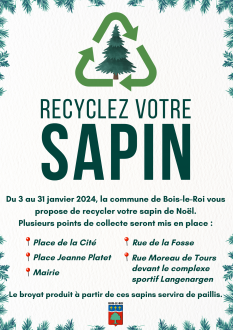 Recyclage sapins