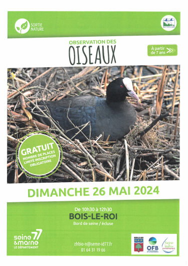 2024 05 26 obervation des oiseaux