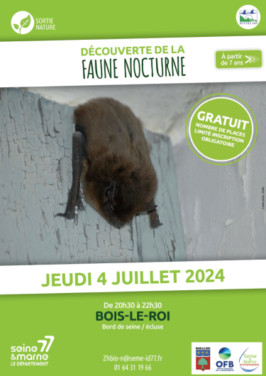 Découverte de la faune nocturne