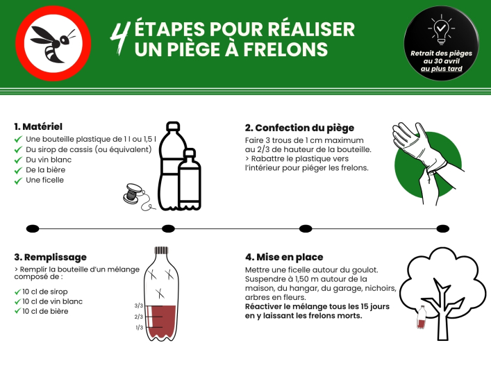 Frelons