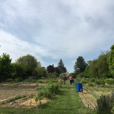 Les Carrés potagers Bacots, nos jardins