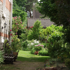 Un jardin à Bois-le-Roi