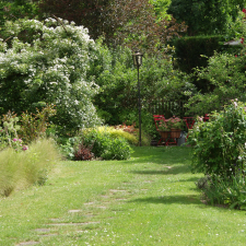 Un jardin à Bois-le-Roi