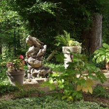 Un jardin à Bois-le-Roi