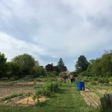 Jardins Les Carrés Potagers Bacots