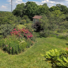 Jardin de Charlotte