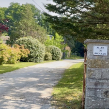 Allée de Brolles - Bois-le-Roi