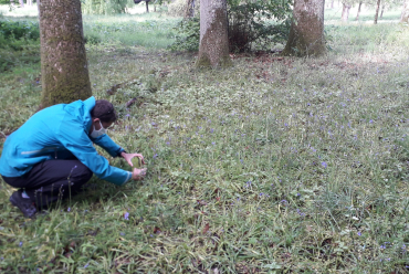 Balade naturaliste