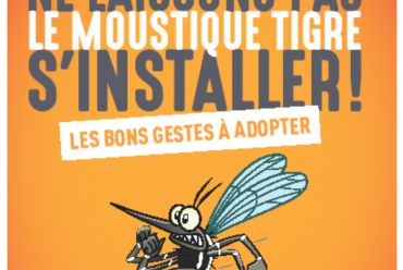 Moustique tigre les bons gestes