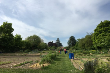 Jardins Les Carrés Potagers Bacots