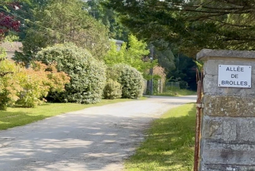 Allée de Brolles - Bois-le-Roi